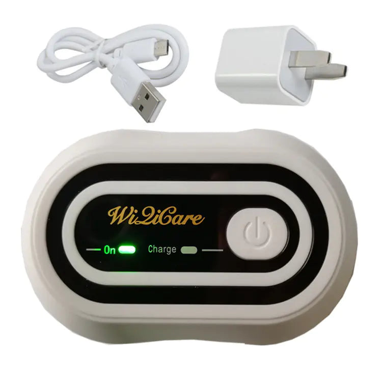 Ozone Disinfection Device for Respirators and Air Purifiers