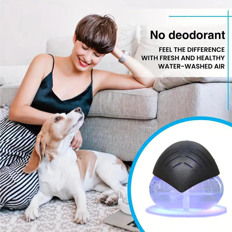 Air Purifier Set