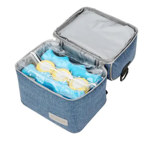 Insulated Lunch and Milk Storage Backpack for Moms
